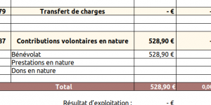 Comptabiliser les contributions volontaires en nature 00