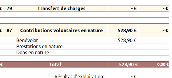Comptabiliser les contributions volontaires en nature 00