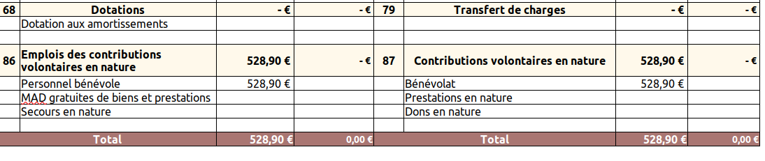 Comptabiliser les contributions volontaires en nature image 3b