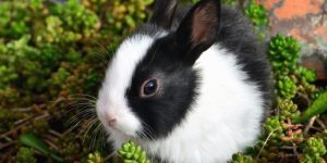 TVA non déductible - Ces achats pour lesquels on ne déduit pas de TVA