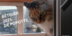 Ajouter une vidéo sur son site internet